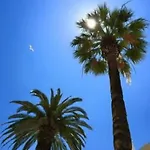 Apartament Butterfly With Sea View *