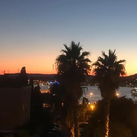 Butterfly With Sea View