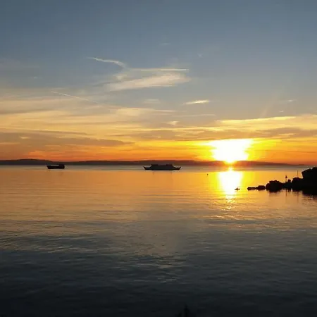 Butterfly With Sea View
