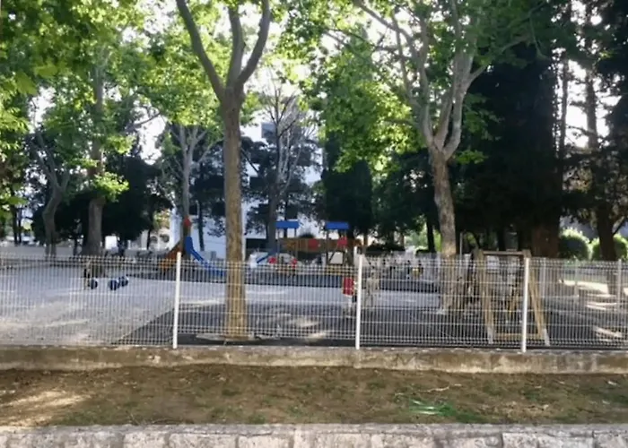 Butterfly With Sea View