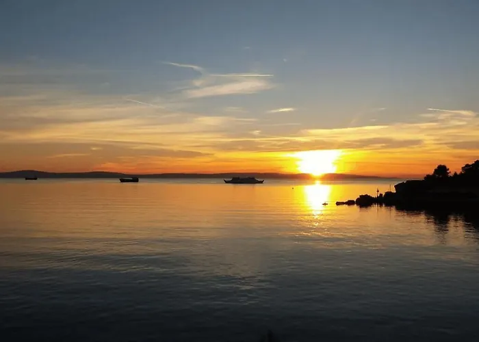 Butterfly With Sea View